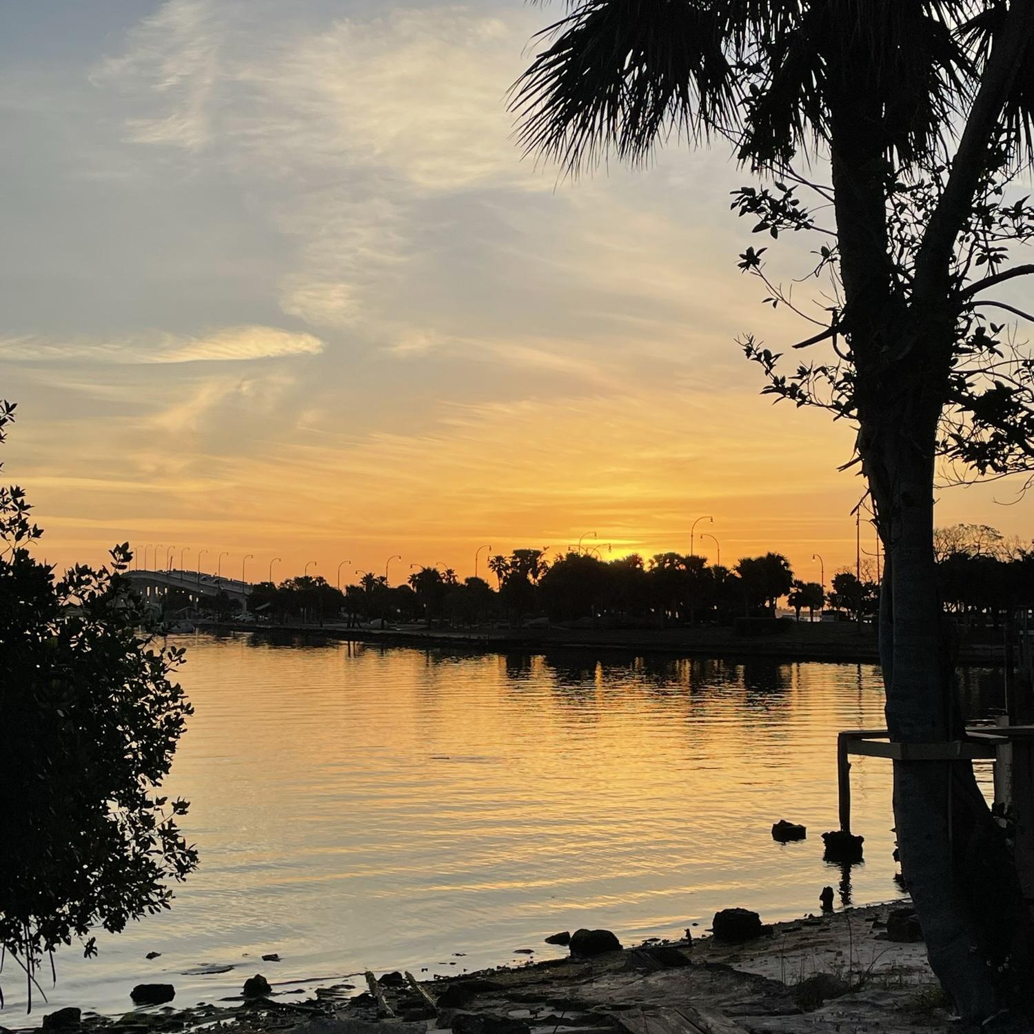 A sneak peek of our little slice of heaven in Jensen Beach.