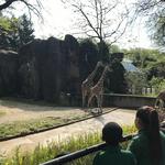 Philadelphia Zoo