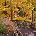 Edwards Gardens