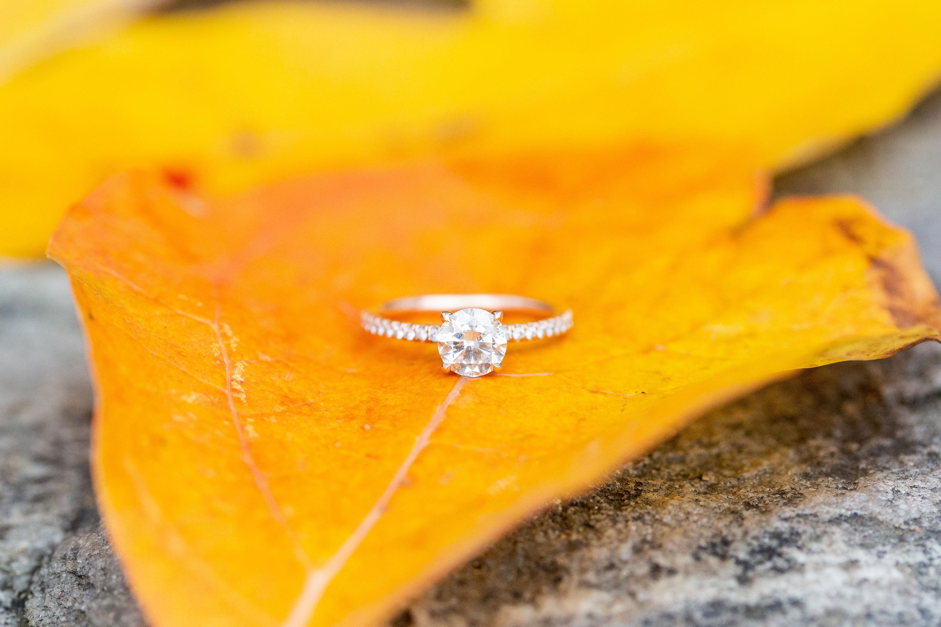 The Wedding Website of Jennifer Wheeler and Ryan Jenks