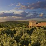 Texas Hill Country Olive Co.