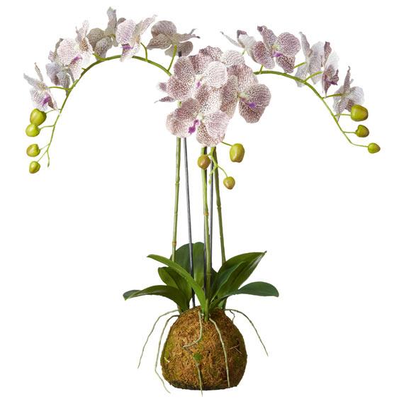 Small Faux Planted Phalaenopsis Gigantea Orchid  - Purple
