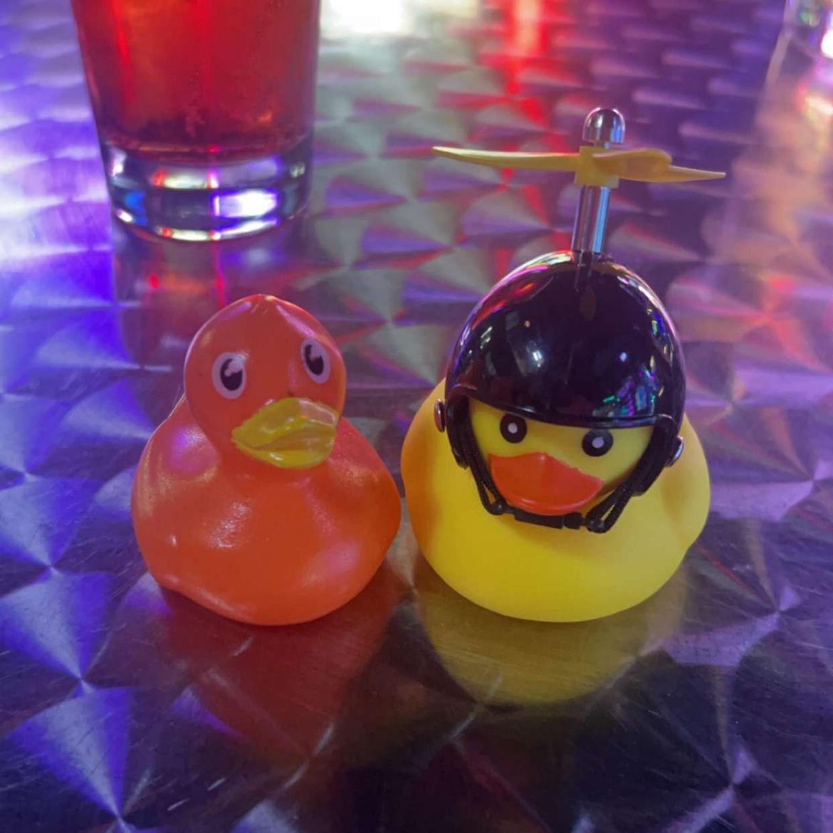 Us as ducks... obviously... won in Morgantown!