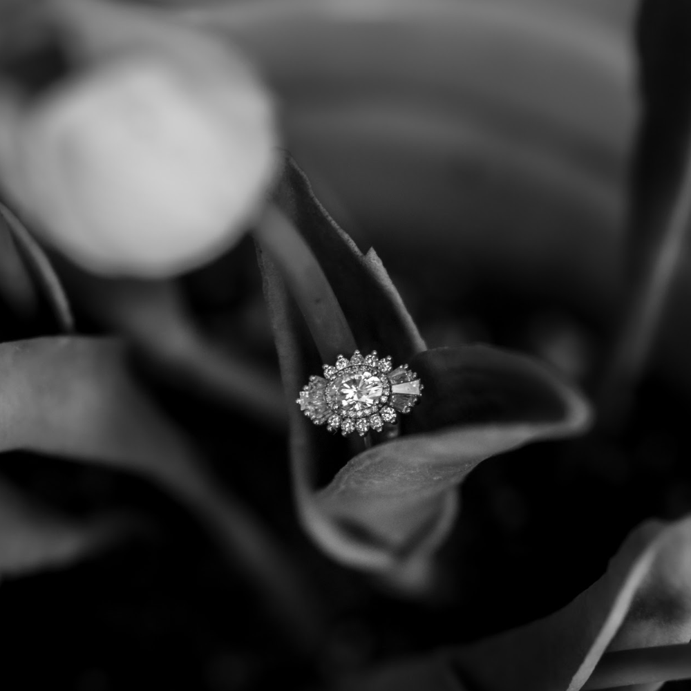 The Ring!
AMT Photoworks