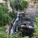 Robert H. Treman State Park