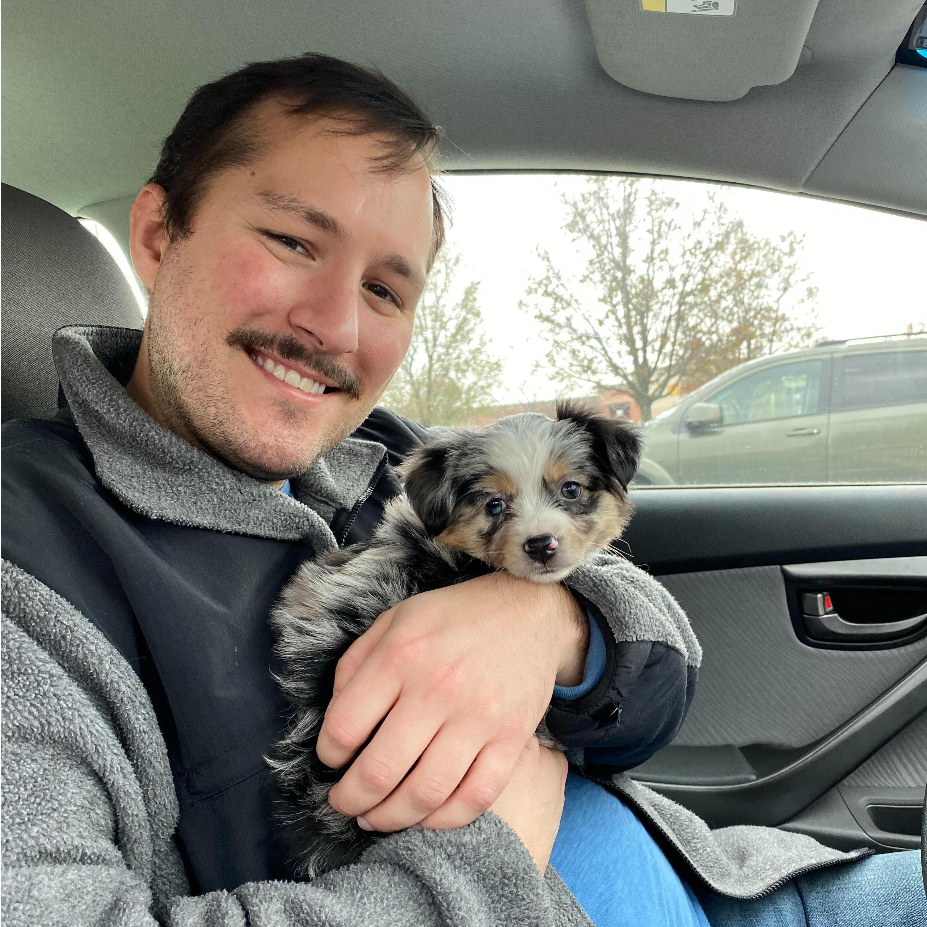 the day we met shadow! stafford, november 2020