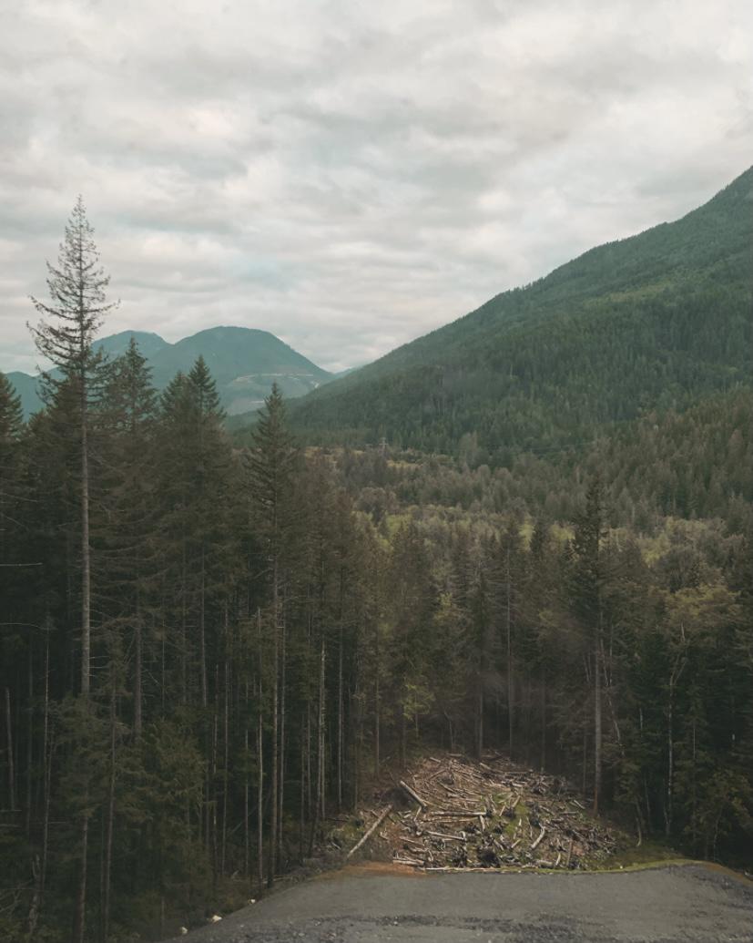 Washington State