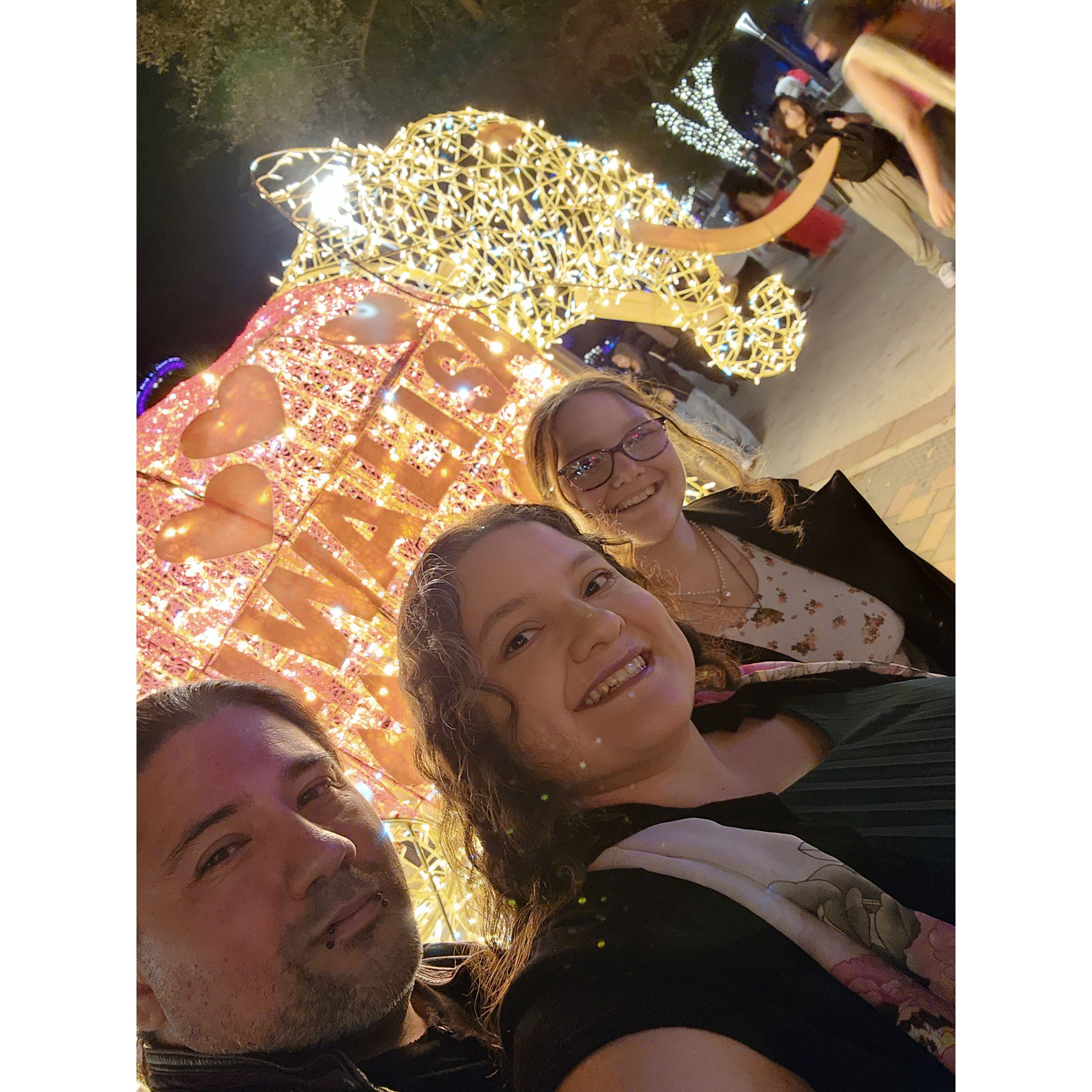 Dewali Festival (festival of lights) 2023