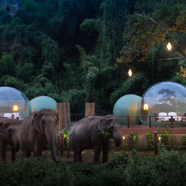 Honeymoon Resort