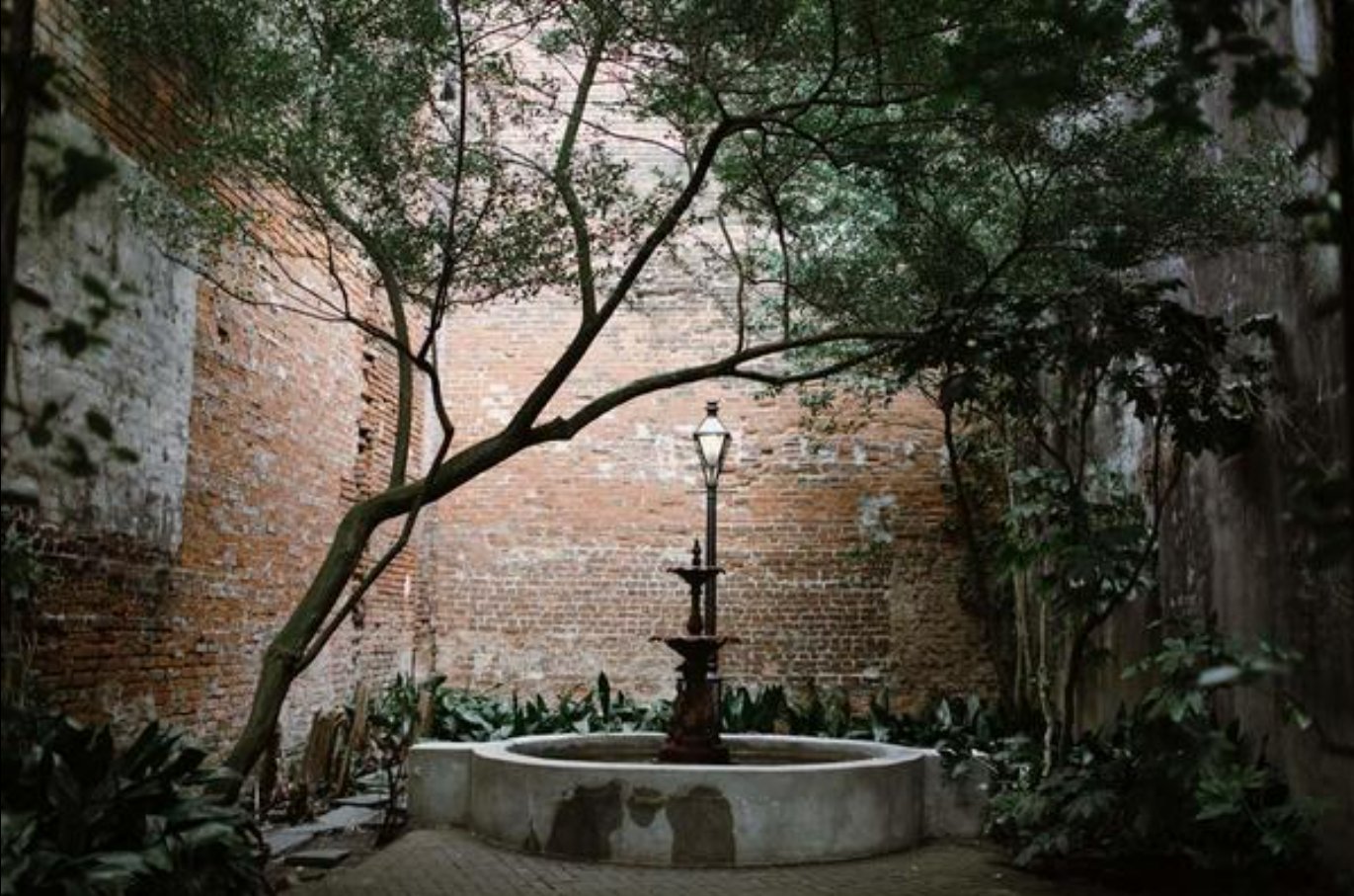 The Wedding Website of Shawna McKnight and Alice Kessler