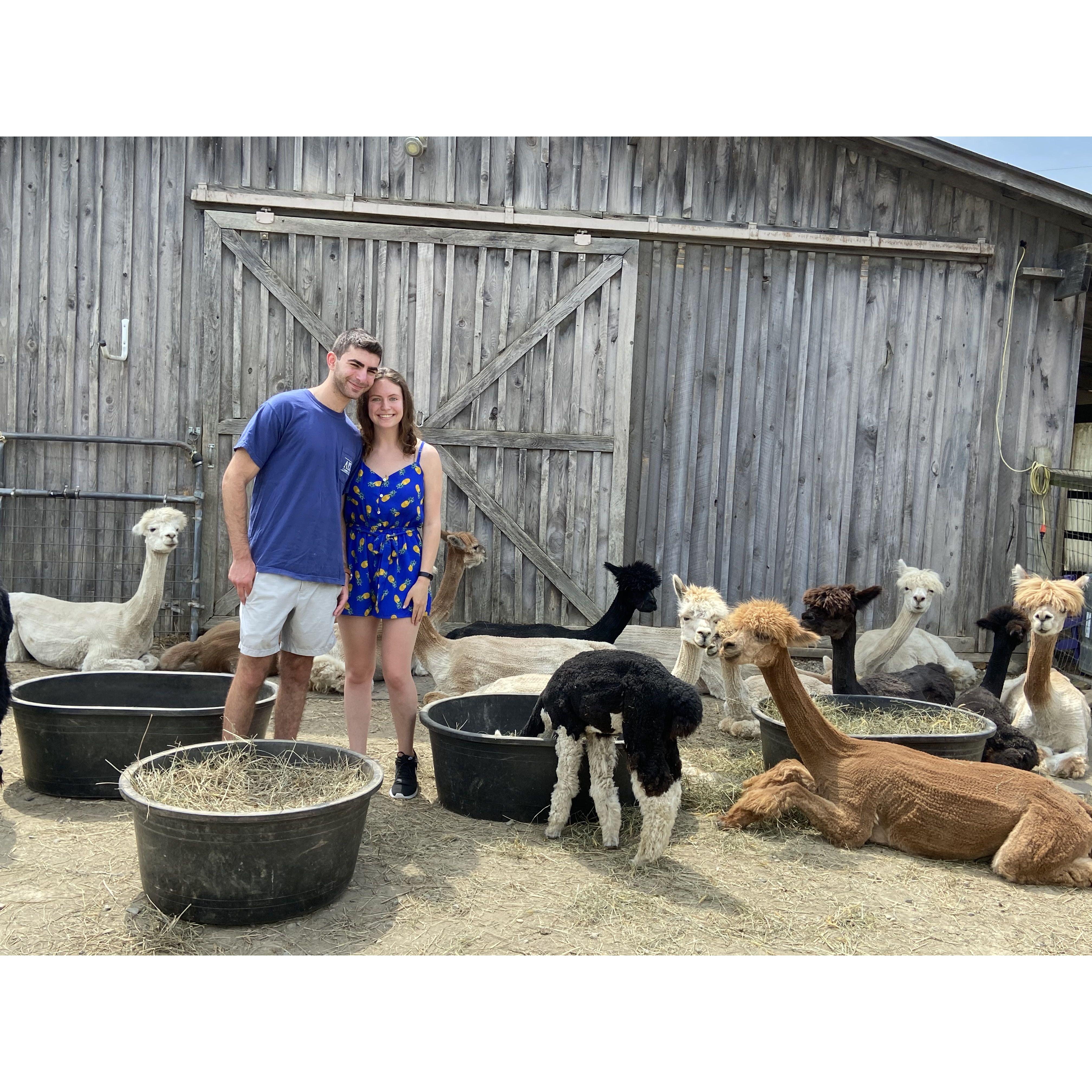 Met some new friends in Vermont