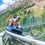 Snowbird