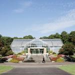Birmingham Botanical Gardens