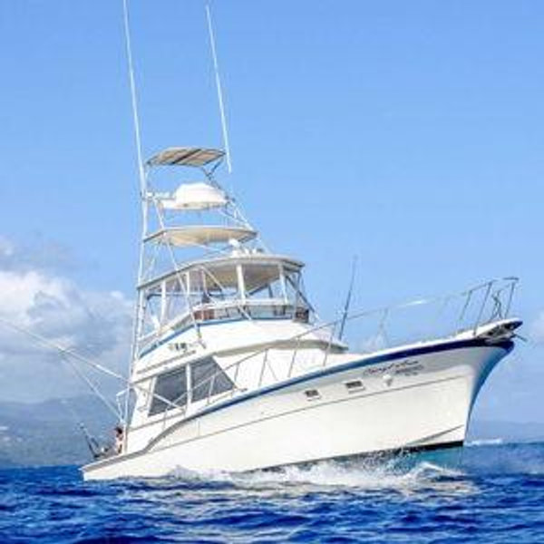 Honeymoon: Deep Sea Sport Fishing