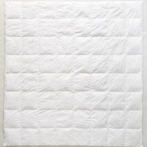 Vienna Down Duvet Insert