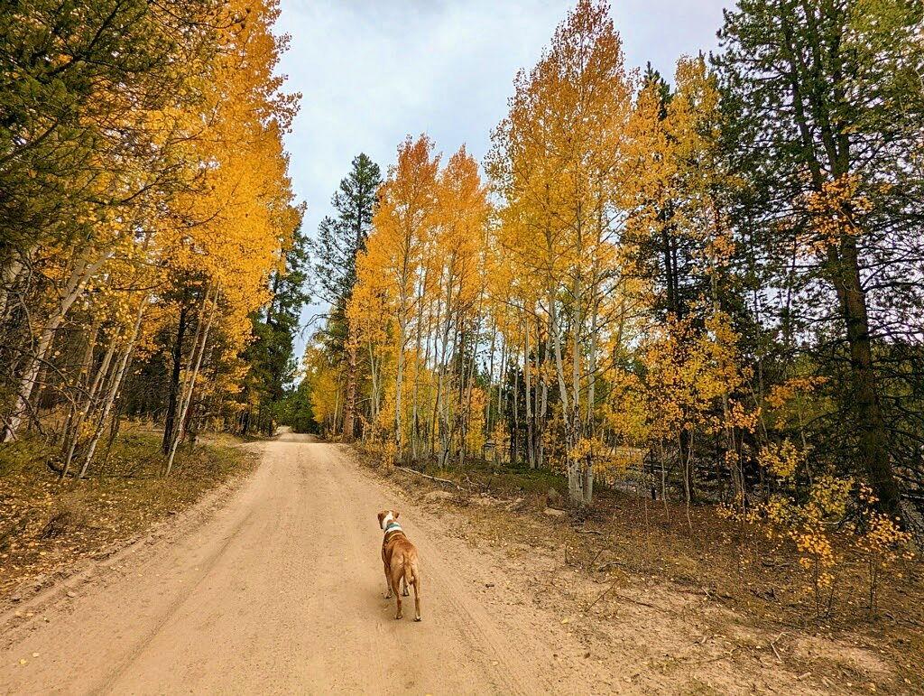 The Wedding Website of Sacha Belter and Chad Koll