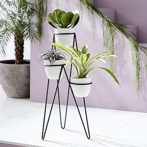 Iris Planter + Chevron Stand - Triple