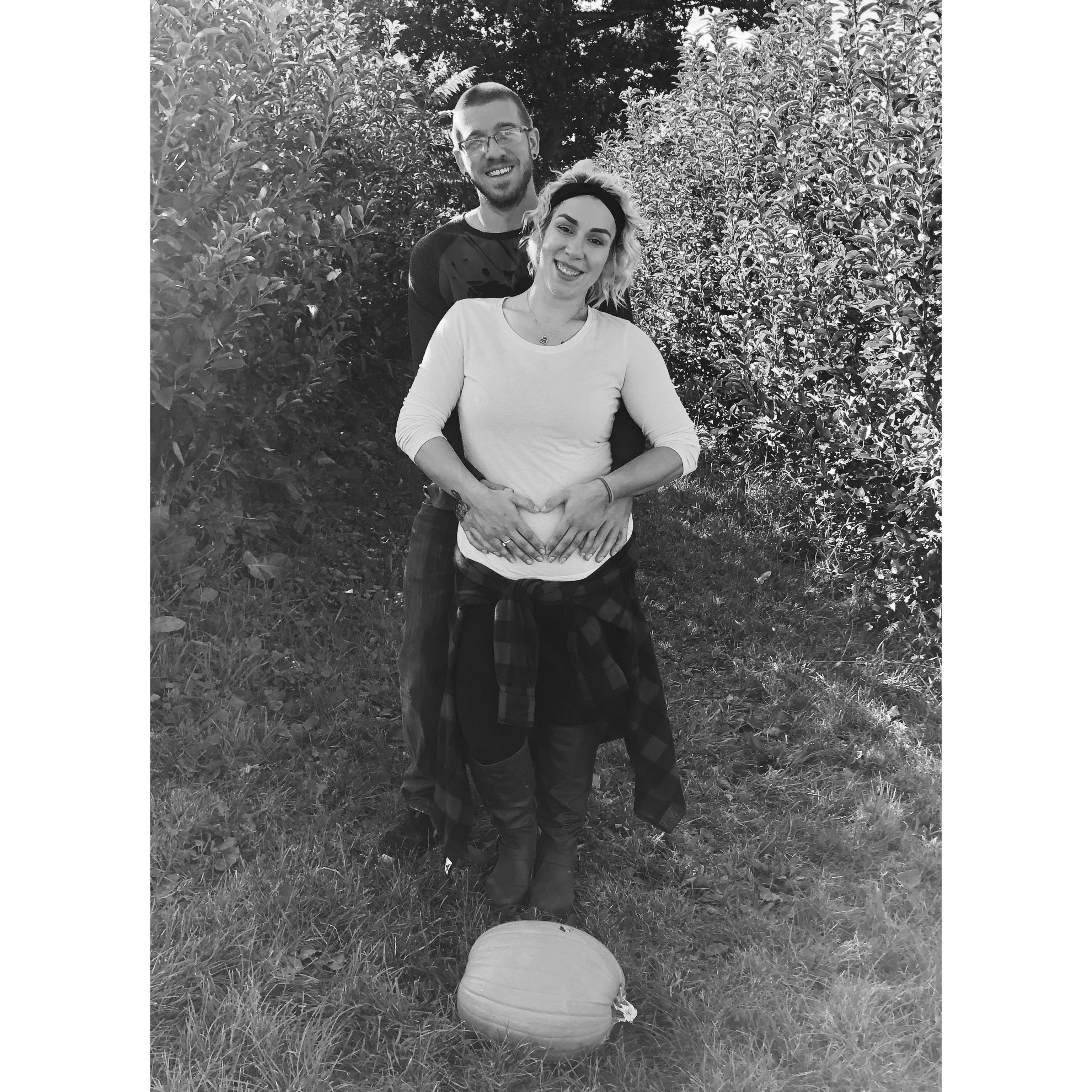 Pumpkin Patch 2019