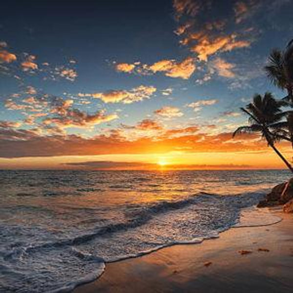 Sunset Cocktails & Dinner in Hawaii