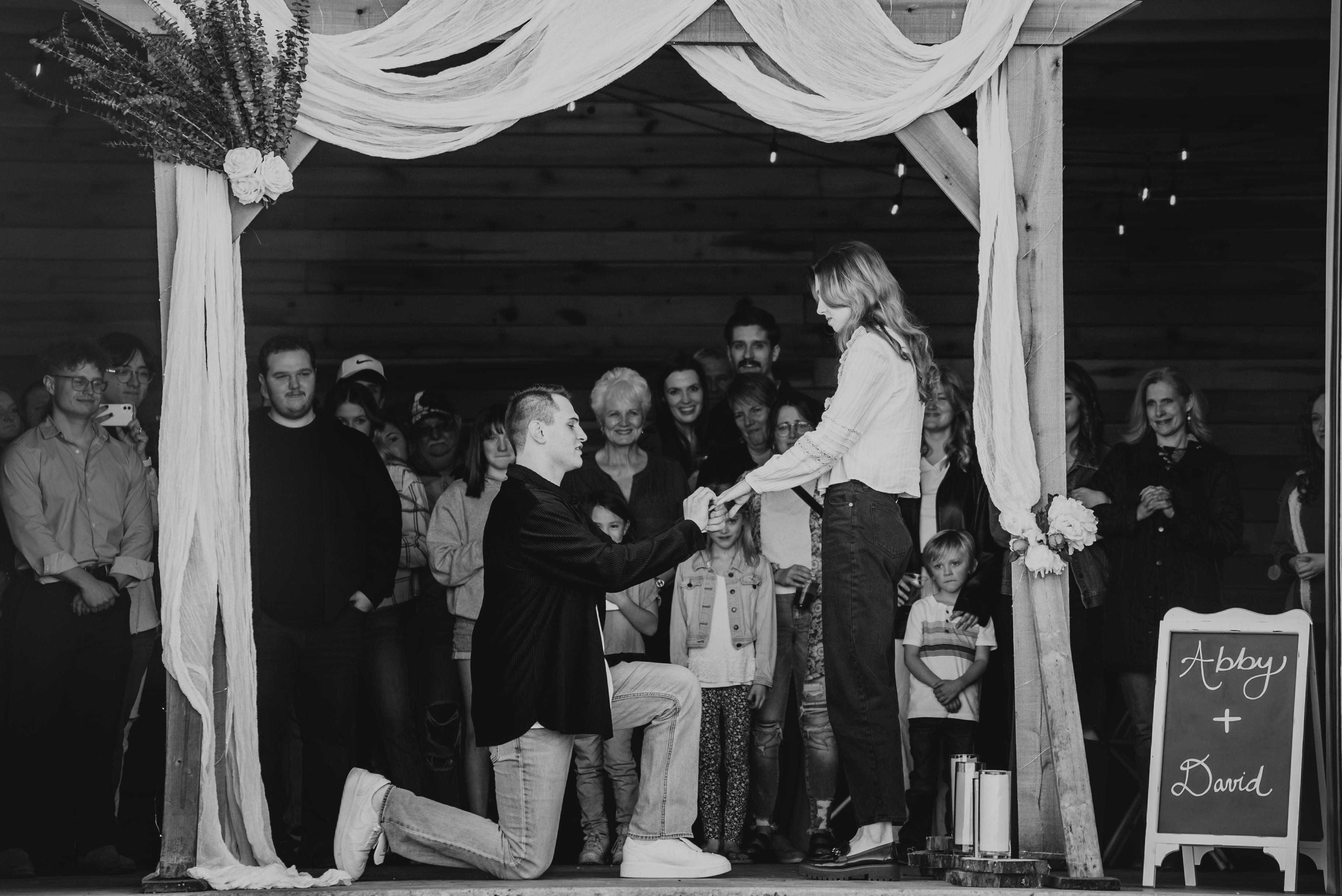 The Wedding Website of Abby Ledyard and David Stephens