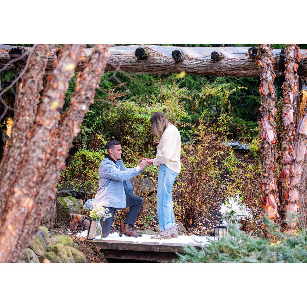 Proposal!