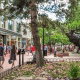 Pearl Street Mall
