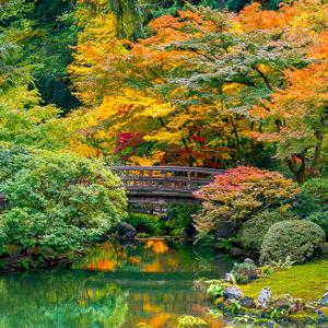 Entry to Portland Japanese Garden