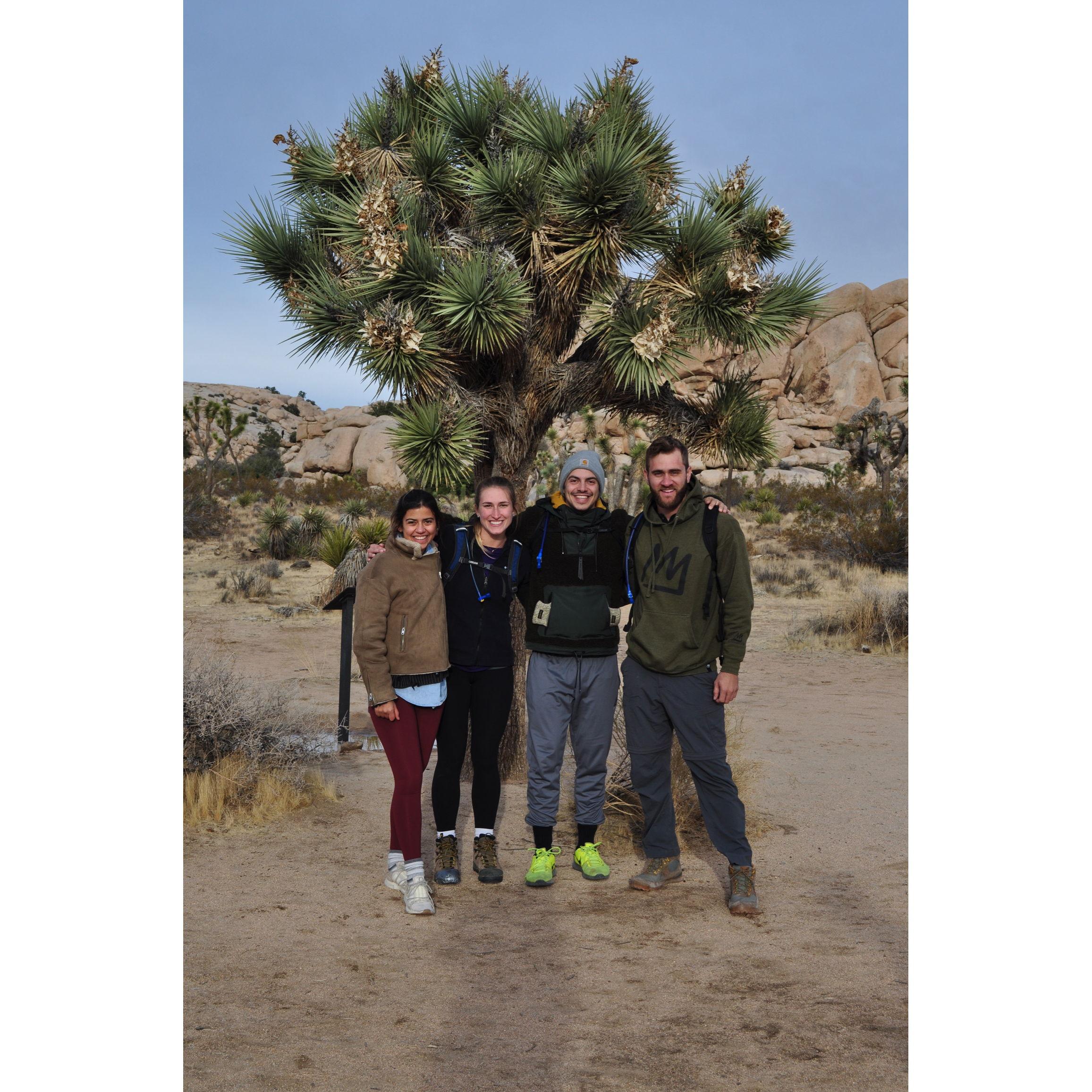 Joshua Tree