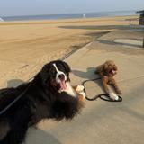 Edgewater Park/Beach
