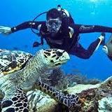 Diving and Snorkeling