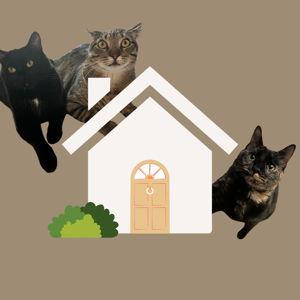 Home Down Payment