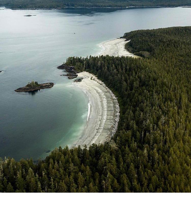B.C. Honeymoon Fund