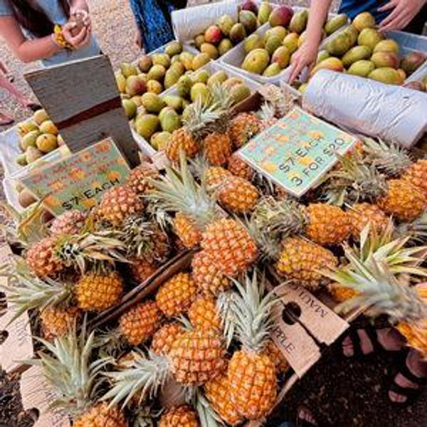 Hawaii Farm Tour Experience