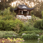 Huntington Library and Gardens