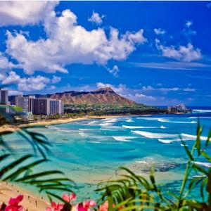 Honeymoon Excursion Fund