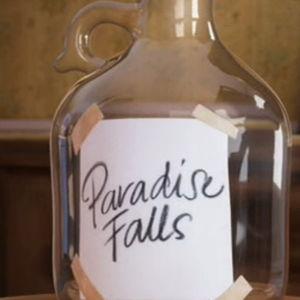 Newly wed fund
