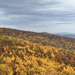 Skyline Drive (Swift Run Gap Entrance Station)