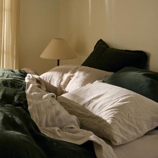 European Flax Linen Pillowcase Set of 2
