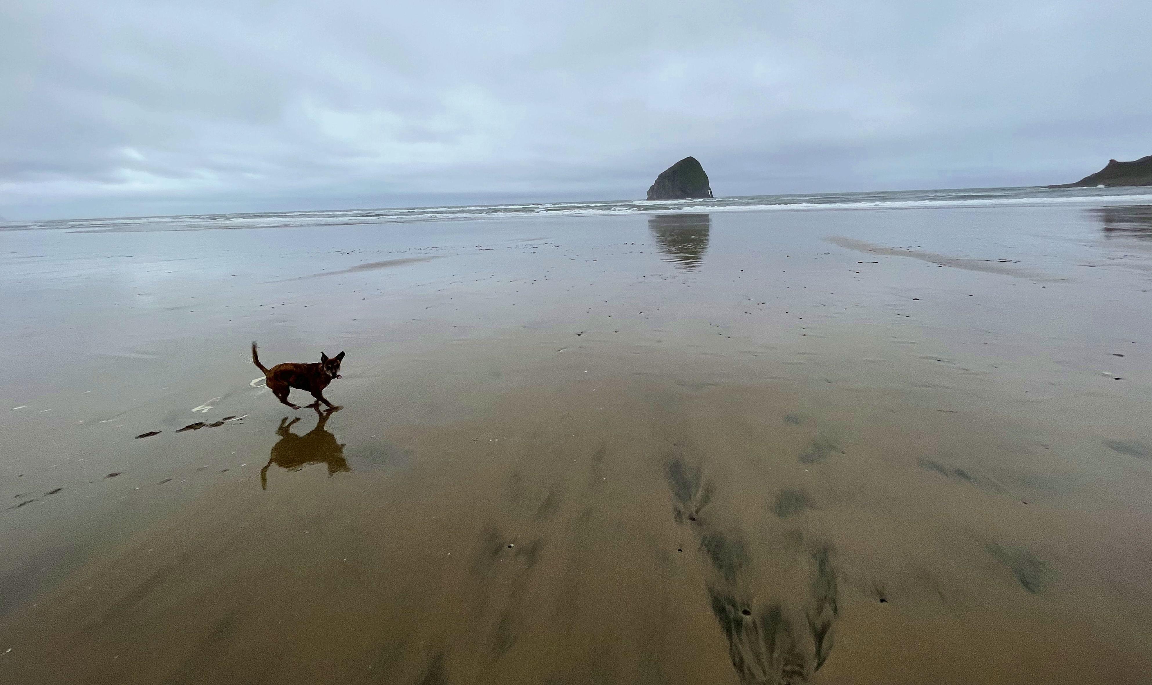 The Wedding Website of Sarah McDonald and Chad Sargent