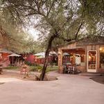 The Windmill Winery