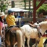 The Farm At Lee Martinez Park