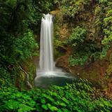 La Paz Waterfall