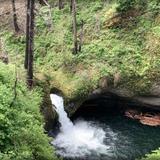 Eagle Creek Trail
