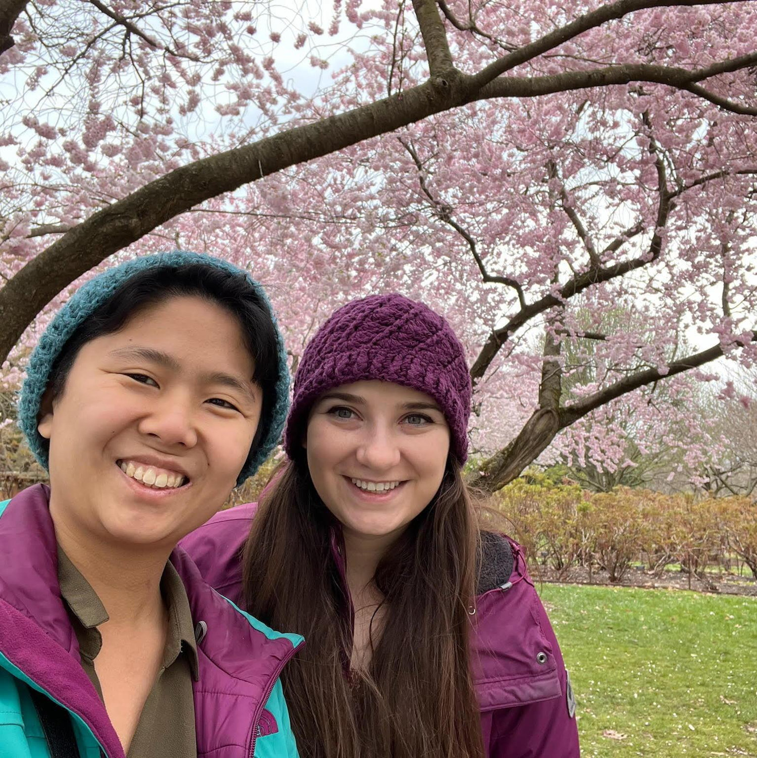 Seeing the cherry blossoms in Brooklyn.