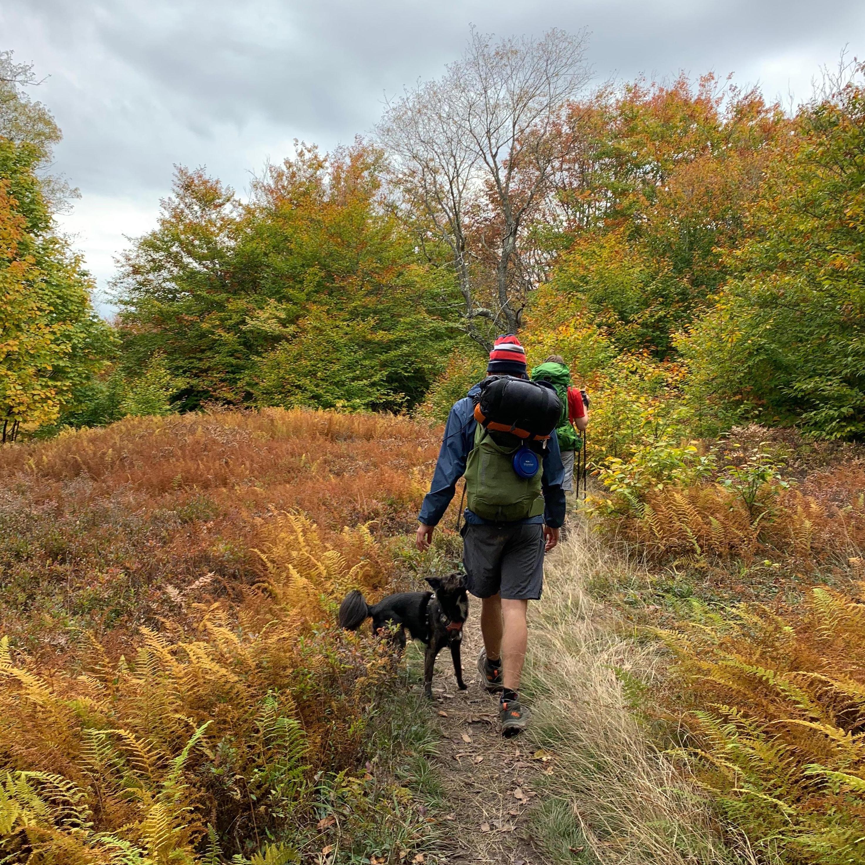 [October 2020, West Virginia] Fall hiking in Dolly Sodds