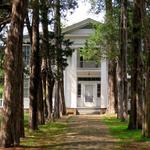 Rowan Oak