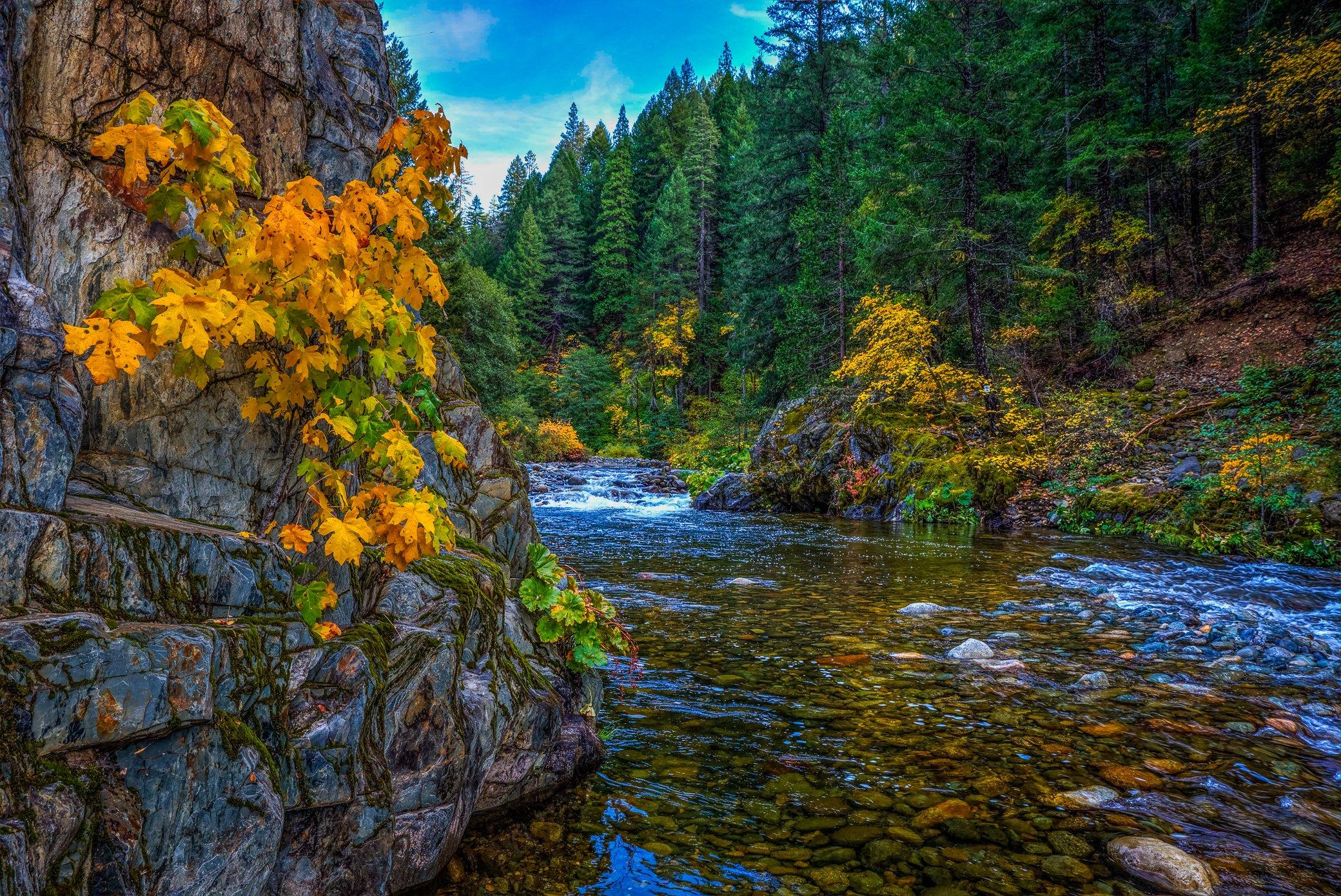 The Wedding Website of Denise Schoech and Paul Anthony Jansen