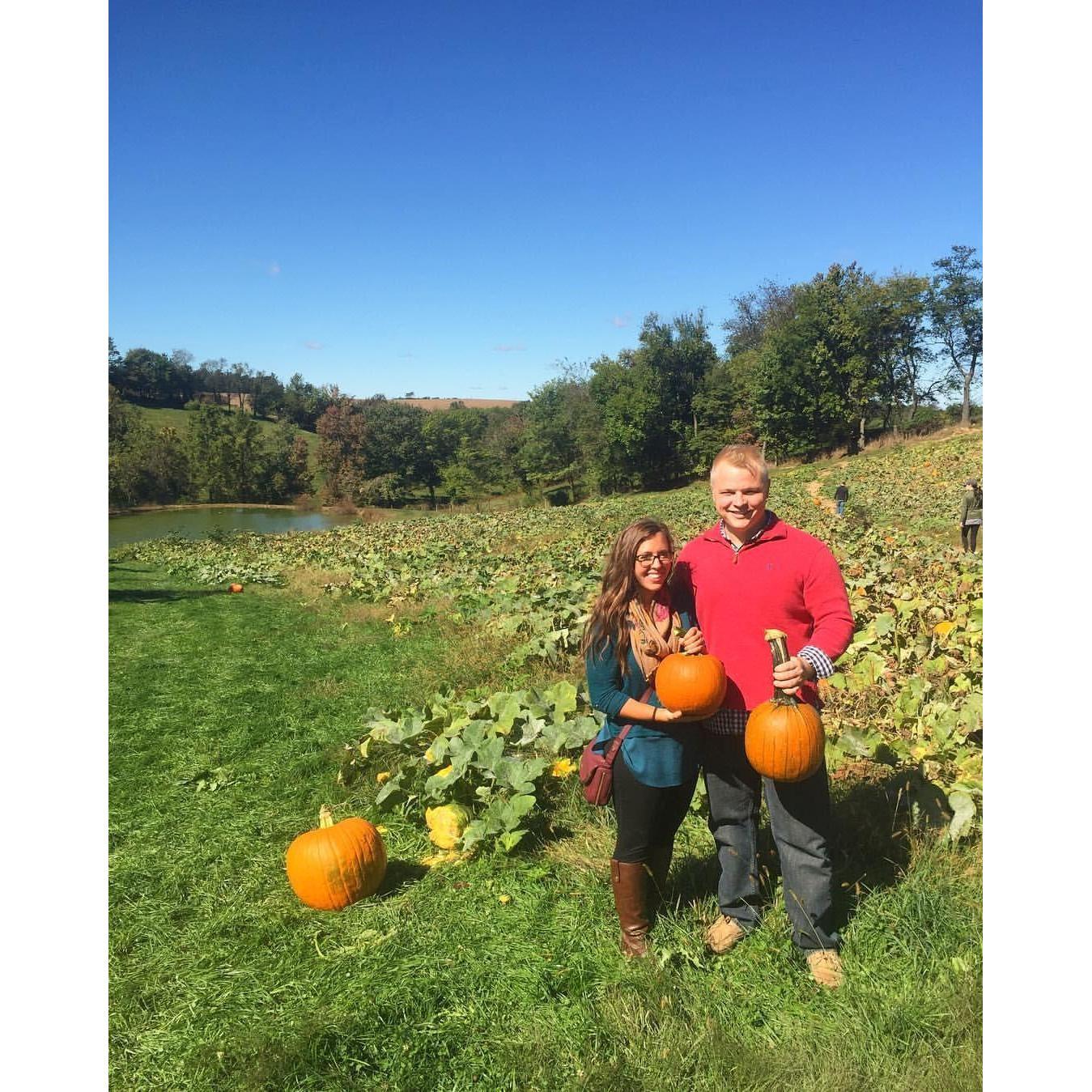 Who says you're too old to pick pumpkins?