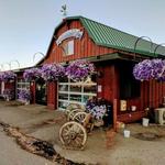 Blueberry Hills Farm