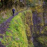 Punch Bowl Falls